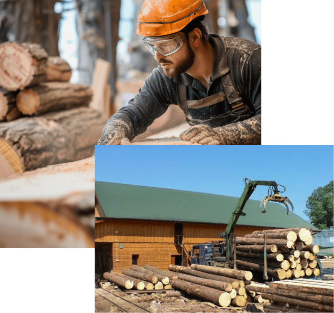 Zdjęcie tartaku Kołodziej w Piekielniku