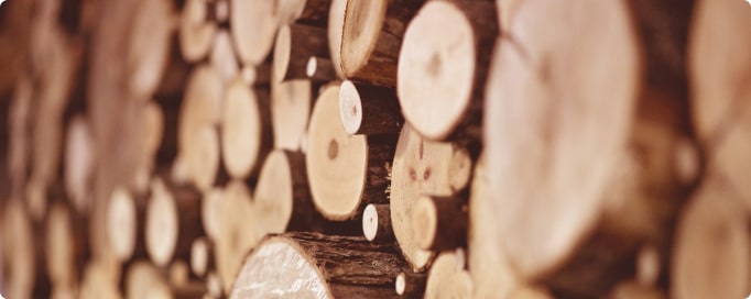 Oferta tartaku - drewno i tarcica